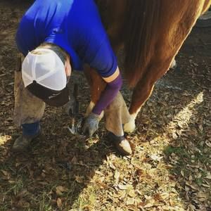 Meet your Posher, Andrew